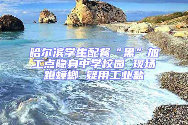 哈爾濱學生配餐“黑”加工點隱身中學校園 現場跑蟑螂 疑用工業鹽