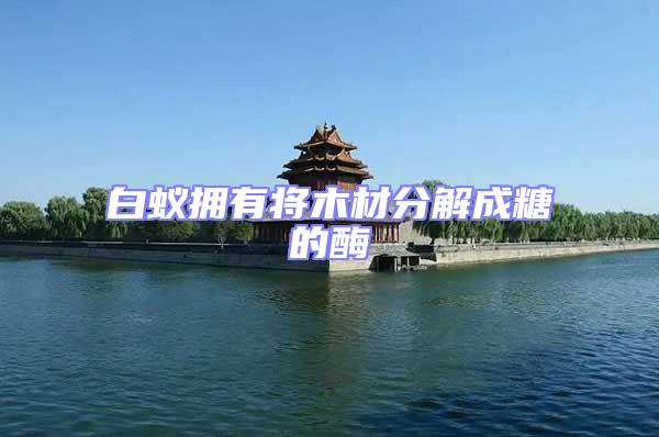 白蟻擁有將木材分解成糖的酶