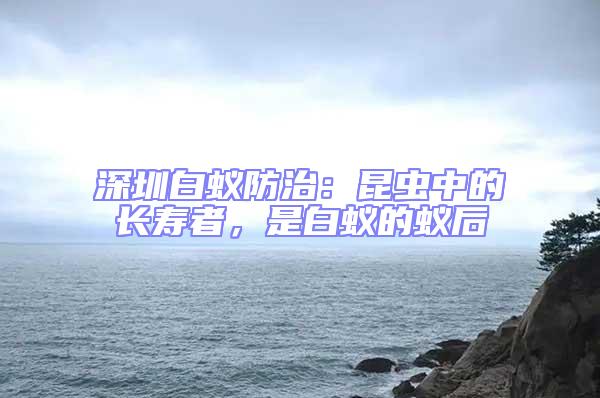 深圳白蟻防治:昆蟲中的長(zhǎng)壽者,是白蟻的蟻后