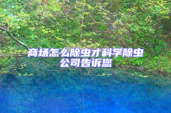 商場(chǎng)怎么除蟲才科學(xué)除蟲公司告訴您