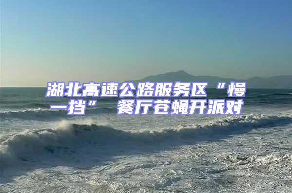 湖北高速公路服務區“慢一擋” 餐廳蒼蠅開派對