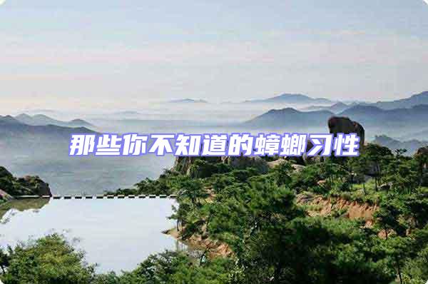 那些你不知道的蟑螂習性