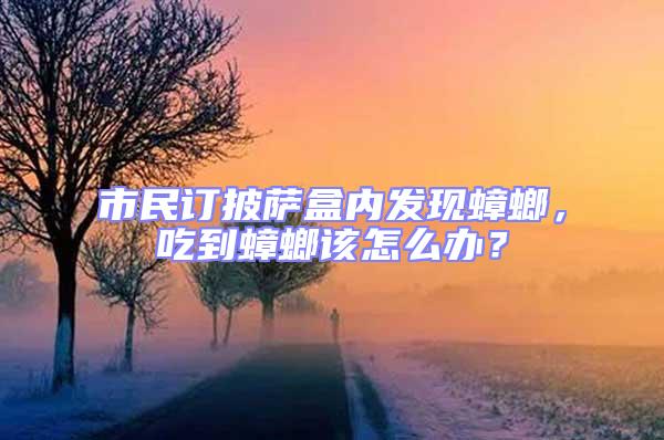 市民訂披薩盒內發現蟑螂，吃到蟑螂該怎么辦？