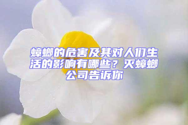 蟑螂的危害及其對人們生活的影響有哪些？滅蟑螂公司告訴你