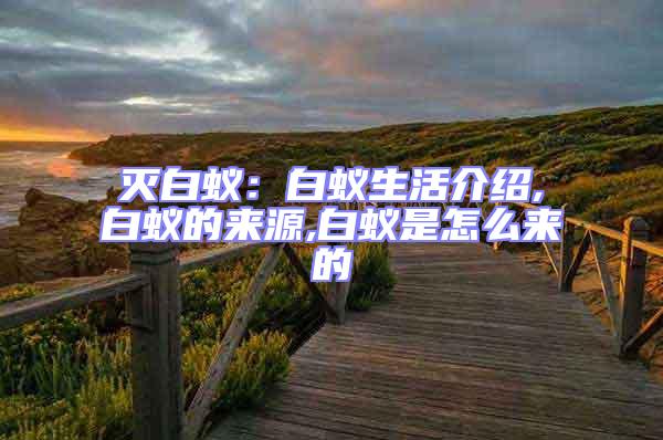 滅白蟻：白蟻生活介紹,白蟻的來(lái)源,白蟻是怎么來(lái)的