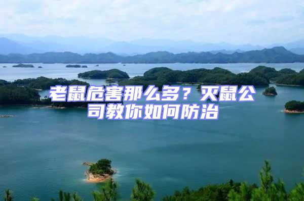 老鼠危害那么多？滅鼠公司教你如何防治