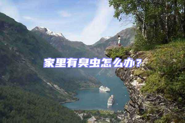 家里有臭蟲怎么辦？