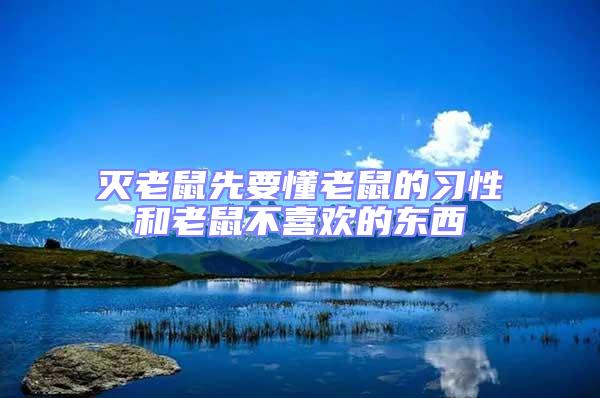 滅老鼠先要懂老鼠的習(xí)性和老鼠不喜歡的東西