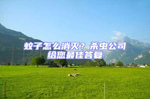 蚊子怎么消滅？殺蟲公司給您最佳答復