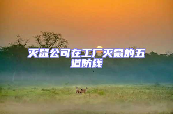 滅鼠公司在工廠(chǎng)滅鼠的五道防線(xiàn)