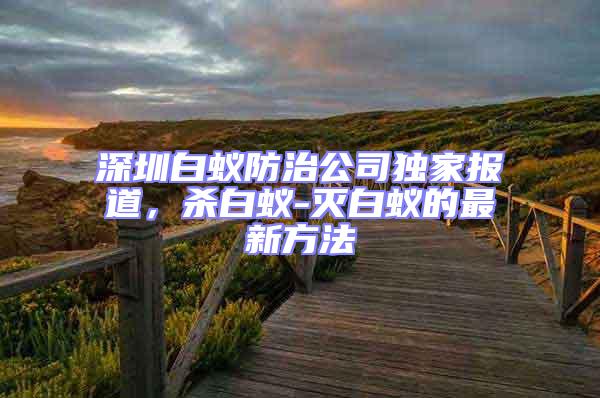 深圳白蟻防治公司獨家報道，殺白蟻-滅白蟻的最新方法