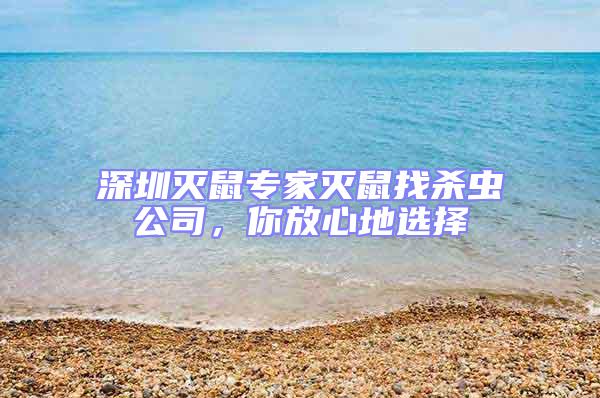 深圳滅鼠專家滅鼠找殺蟲公司，你放心地選擇