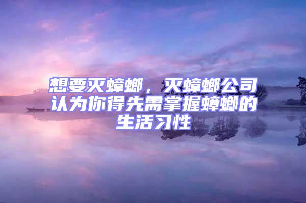 想要滅蟑螂，滅蟑螂公司認為你得先需掌握蟑螂的生活習性