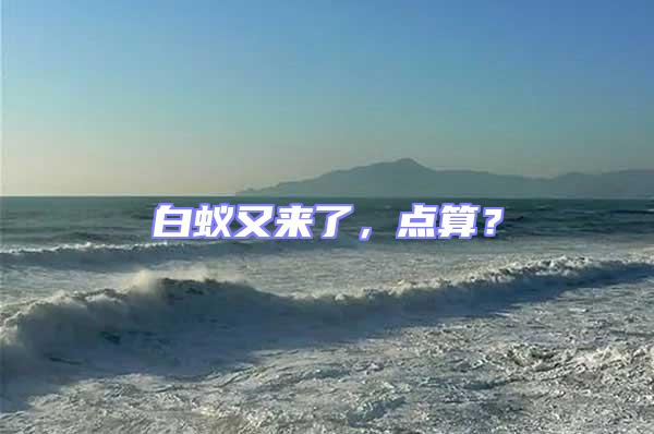 白蟻又來了，點(diǎn)算？