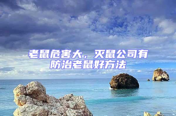 老鼠危害大，滅鼠公司有防治老鼠好方法