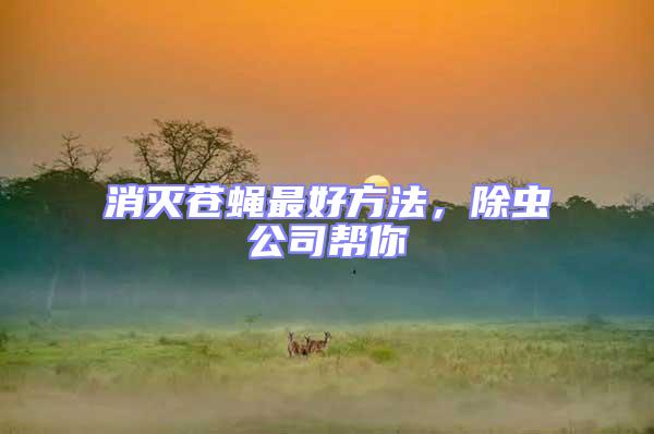 消滅蒼蠅最好方法，除蟲(chóng)公司幫你