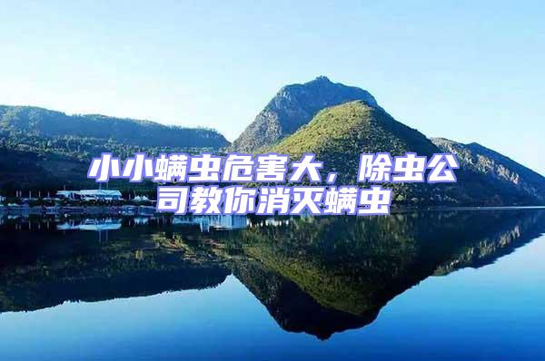 小小螨蟲危害大,除蟲公司教你消滅螨蟲