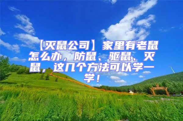 【滅鼠公司】家里有老鼠怎么辦，防鼠、驅鼠、滅鼠，這幾個方法可以學一學！