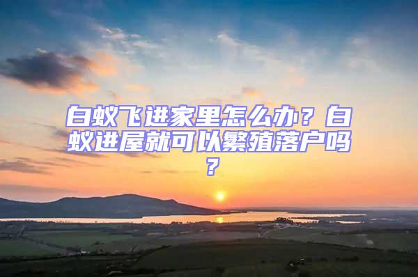 白蟻飛進家里怎么辦？白蟻進屋就可以繁殖落戶嗎？