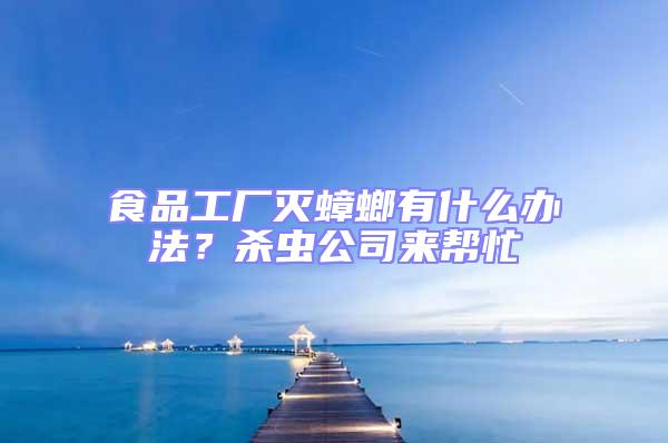 食品工廠滅蟑螂有什么辦法？殺蟲公司來幫忙