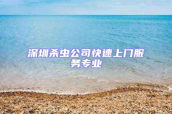 深圳殺蟲公司快速上門服務專業