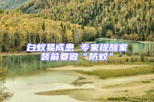 白蟻易成患 專家提醒家裝前要做“防蟻”