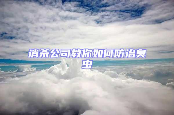 消殺公司教你如何防治臭蟲(chóng)