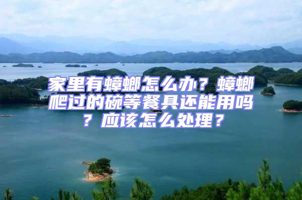 家里有蟑螂怎么辦?蟑螂爬過的碗等餐具還能用嗎?應該怎么處理?