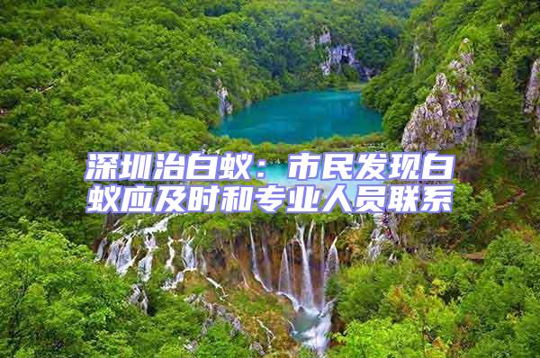 深圳治白蟻:市民發現白蟻應及時和專業人員聯系
