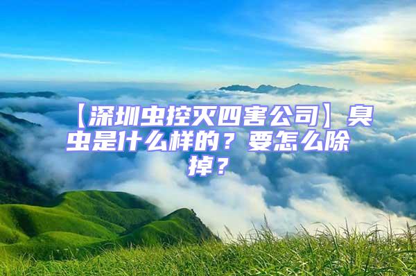 【深圳蟲控滅四害公司】臭蟲是什么樣的？要怎么除掉？
