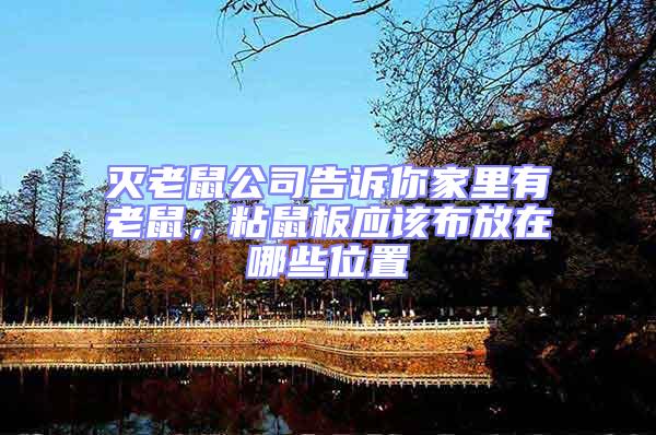 滅老鼠公司告訴你家里有老鼠，粘鼠板應該布放在哪些位置