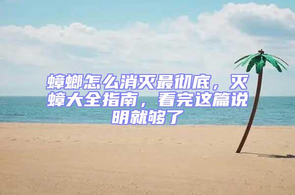 蟑螂怎么消滅最徹底,滅蟑大全指南,看完這篇說明就夠了