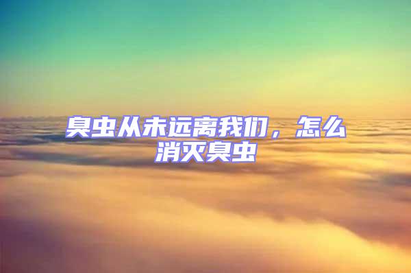 臭蟲從未遠離我們，怎么消滅臭蟲