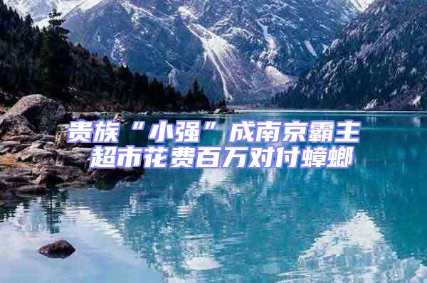 貴族“小強(qiáng)”成南京霸主 超市花費(fèi)百萬對(duì)付蟑螂