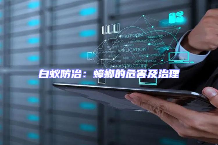 白蟻防冶：蟑螂的危害及治理