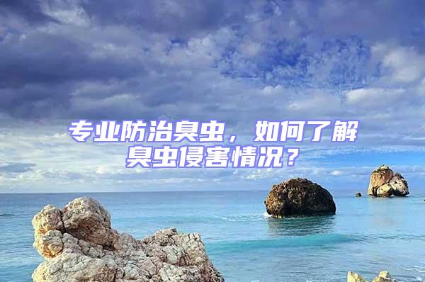 專業(yè)防治臭蟲，如何了解臭蟲侵害情況？