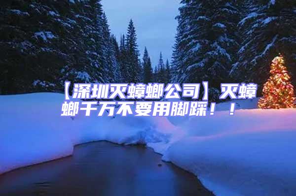 【深圳滅蟑螂公司】滅蟑螂千萬不要用腳踩！！