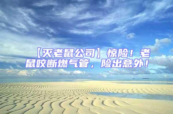 【滅老鼠公司】驚險!老鼠咬斷燃氣管,險出意外!