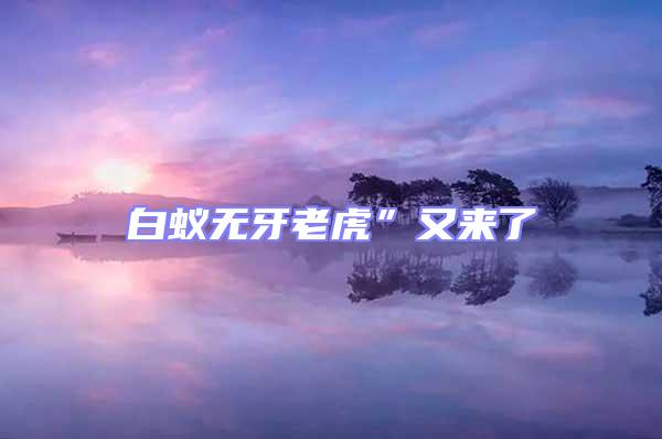 白蟻無(wú)牙老虎”又來(lái)了