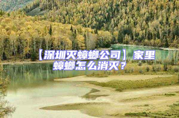 【深圳滅蟑螂公司】家里蟑螂怎么消滅？