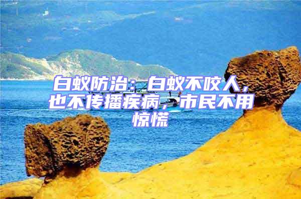 白蟻防治：白蟻不咬人，也不傳播疾病，市民不用驚慌