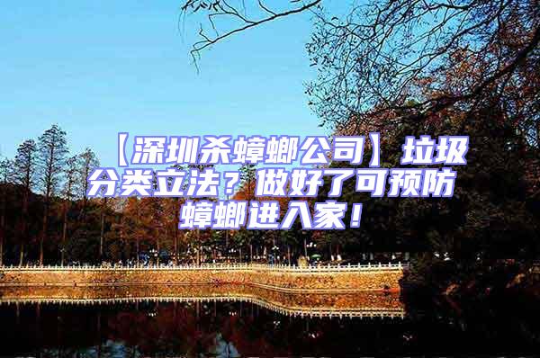 【深圳殺蟑螂公司】垃圾分類(lèi)立法？做好了可預(yù)防蟑螂進(jìn)入家！