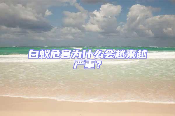 白蟻危害為什么會(huì)越來越嚴(yán)重?