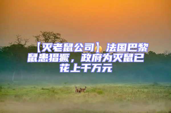 【滅老鼠公司】法國巴黎鼠患猖獗，政府為滅鼠已花上千萬元