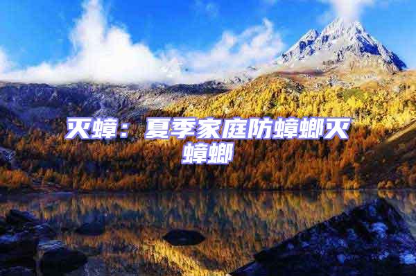 滅蟑：夏季家庭防蟑螂滅蟑螂