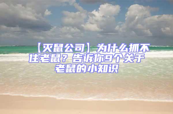 【滅鼠公司】為什么抓不住老鼠?告訴你9個關于老鼠的小知識