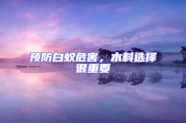 預(yù)防白蟻危害，木料選擇很重要