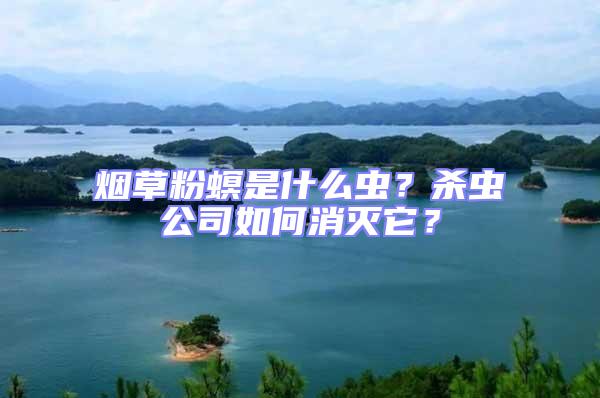 煙草粉螟是什么蟲(chóng)？殺蟲(chóng)公司如何消滅它？