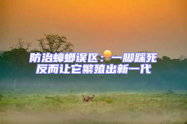 防治蟑螂誤區：一腳踩死反而讓它繁殖出新一代