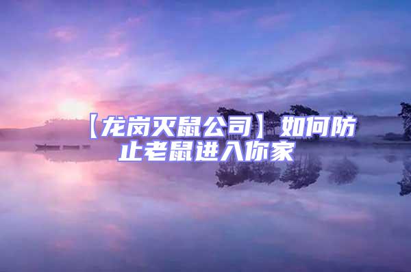 【龍崗滅鼠公司】如何防止老鼠進入你家